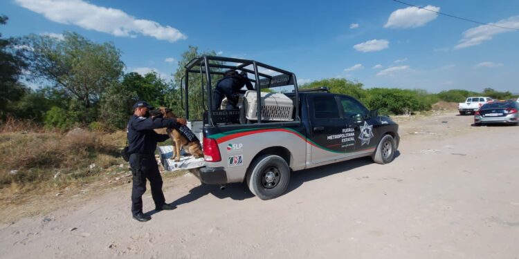 Realizan acciones de búsqueda para localizar a Nayeli quien se encuentra desaparecida