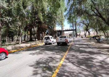 Debido a fuertes vientos, autoridades cerraron los parques Tangamanga