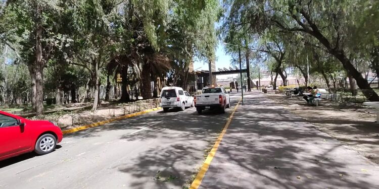Debido a fuertes vientos, autoridades cerraron los parques Tangamanga