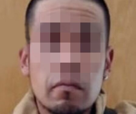 Fue detenido por portar dos armas de fuego