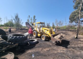 Comienza la restauración del Parque Tangamanga 1, tras incendio del domingo