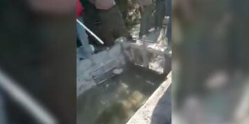 Grupo delictivo interrumpe en viñedos de Casa Madero por la escasez de agua