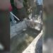Grupo delictivo interrumpe en viñedos de Casa Madero por la escasez de agua