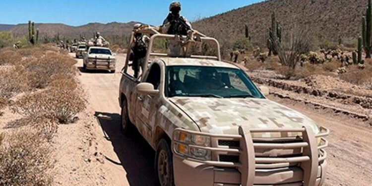 Suman 195 generadores de violencia detenidos en Cajeme, Sonora