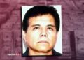 ¿A cuánto asciende la fortuna del Mayo Zambada?