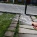 Prohíben usar agua para regar jardines y lavar coches  en Monterrey