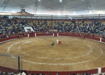 Restringirán acceso a menores de edad a espectáculos taurinos por los daños psicológicos que pueden provocar