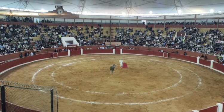 Restringirán acceso a menores de edad a espectáculos taurinos por los daños psicológicos que pueden provocar