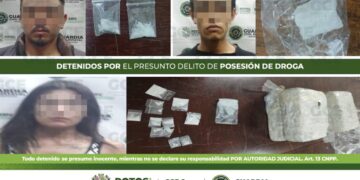 Detienen a tres personas por posesión de droga y aseguran 2 kg de marihuana