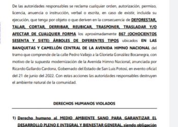 Presentan amparo para proteger arboles de Avenida Himno Nacional