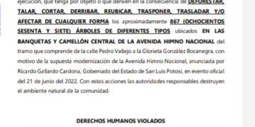 Presentan amparo para proteger arboles de Avenida Himno Nacional