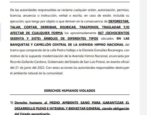 Presentan amparo para proteger arboles de Avenida Himno Nacional