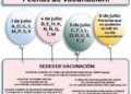 Esta semana inicia la jornada de vacunación de niños de 5 a 11 años en SLP