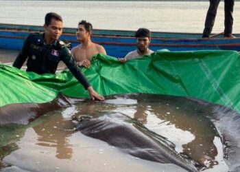 ¡Un monstro! Encuentran en mar de Asia una especie nunca antes vista