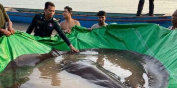 ¡Un monstro! Encuentran en mar de Asia una especie nunca antes vista