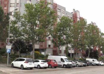 Ancianita muere sola en su casa y sus siete gatos la devoran