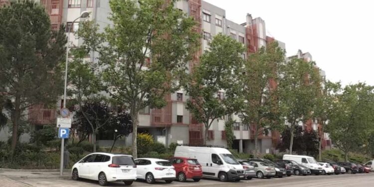 Ancianita muere sola en su casa y sus siete gatos la devoran