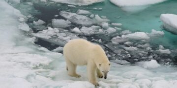 Todos los glaciares están en vías de desaparición aseguran los expertos