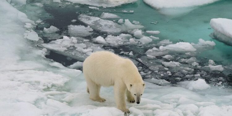 Todos los glaciares están en vías de desaparición aseguran los expertos