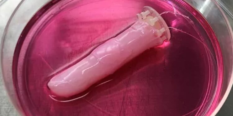 ¡El futuro nos alcanzó! Crean piel humana viva para robots