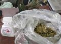 Secuestraban y torturaban a sus víctimas; caen 11 del Cártel del Noreste en NL