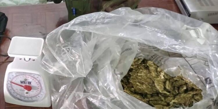 Secuestraban y torturaban a sus víctimas; caen 11 del Cártel del Noreste en NL