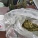Secuestraban y torturaban a sus víctimas; caen 11 del Cártel del Noreste en NL