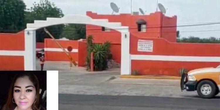 Matan a mujer activista que buscaba a su hermano en Sonora; Fiscalía descarta nexo con activismo