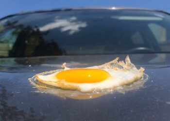 ¡Hasta un huevo puedes freír con el calor en Sonora!