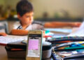 Clases a distancia con 35% de efectividad: SEGE