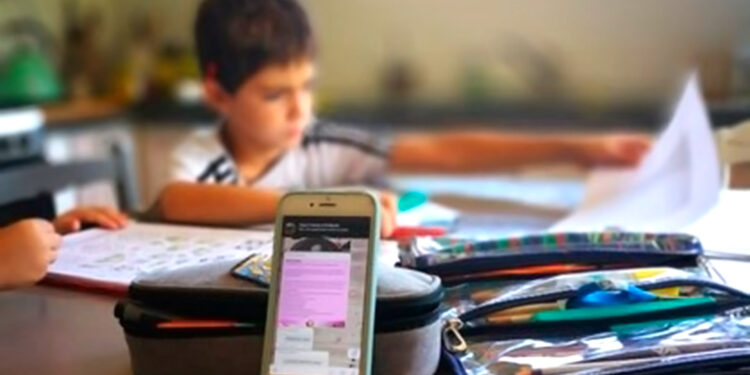 Clases a distancia con 35% de efectividad: SEGE