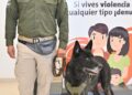 Presentan el plan preventivo “Verano Seguro”