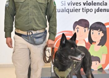 Presentan el plan preventivo “Verano Seguro”