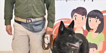 Presentan el plan preventivo “Verano Seguro”
