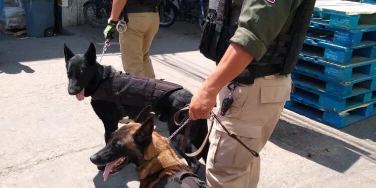 Con binomios caninos, Guardia Civil realiza operativos en la Central de Abastos