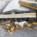 Regidora exige plan integral emergente para el mantenimiento del alcantarillado