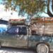 Detienen a tres sujetos por robo de ganado