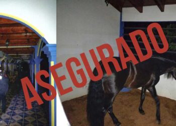 Fiscalía de Edomex asegura cuatro mansiones de lujo con lagos y animales exóticos