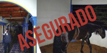 Fiscalía de Edomex asegura cuatro mansiones de lujo con lagos y animales exóticos