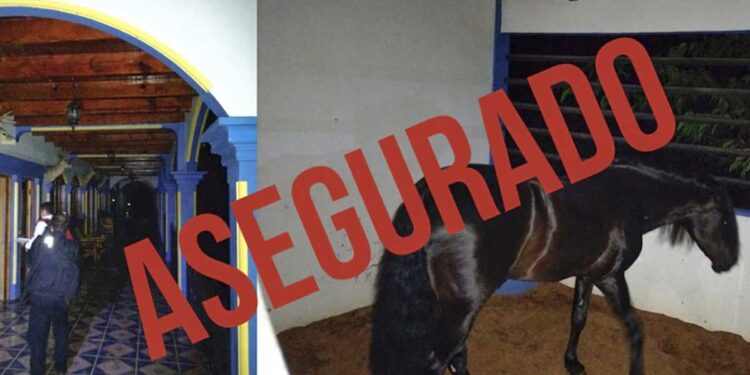 Fiscalía de Edomex asegura cuatro mansiones de lujo con lagos y animales exóticos