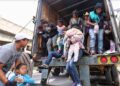 “Polleros” ganan 12 mil 300 mdp al año según la Segob