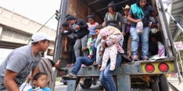 “Polleros” ganan 12 mil 300 mdp al año según la Segob