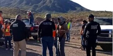 Hallan nueve cadáveres en puntos cercanos a Caborca, Sonora