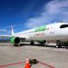 Miedo en Vuelo de Viva Aerobus: aterriza de emergencia tras intento de suicidio