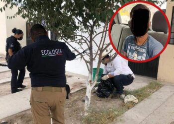 Sujeto que pretendía comerse un perro fue detenido en Ciudad Juárez