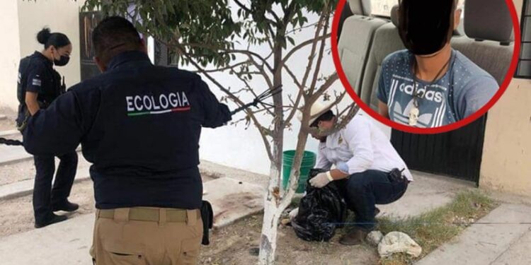 Sujeto que pretendía comerse un perro fue detenido en Ciudad Juárez