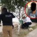 Sujeto que pretendía comerse un perro fue detenido en Ciudad Juárez