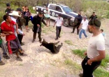 Video: ¡Indignante! Pobladores de Coahuila torturaron y mataron a un Oso que se encuentra en peligro de extinción