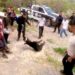 Video: ¡Indignante! Pobladores de Coahuila torturaron y mataron a un Oso que se encuentra en peligro de extinción