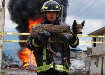 Rescatan a perrito tras explosión de ducto en Amozoc, Puebla